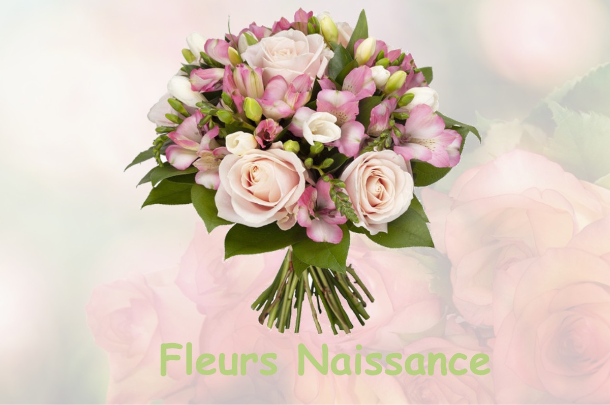 fleurs naissance SAINT-FLORENT-DES-BOIS
